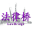 私募基金律师-PE法律桥:上海杨春宝一级律师|您的私募基金法律顾问